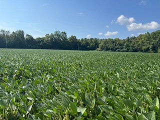 Property photo 17 - IMPORTANT LAND AUCTION - 343+/- ACRES OFFERED IN 6 TRACTS IN PIKE COUNTY, OHIO