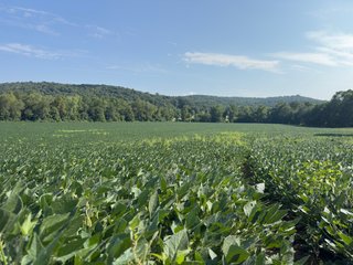 Property photo 20 - IMPORTANT LAND AUCTION - 343+/- ACRES OFFERED IN 6 TRACTS IN PIKE COUNTY, OHIO