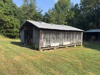 Property photo 23 - IMPORTANT LAND AUCTION - 343+/- ACRES OFFERED IN 6 TRACTS IN PIKE COUNTY, OHIO