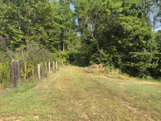Property photo 24 - IMPORTANT LAND AUCTION - 343+/- ACRES OFFERED IN 6 TRACTS IN PIKE COUNTY, OHIO