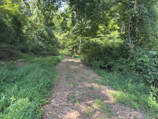 Property photo 28 - IMPORTANT LAND AUCTION - 343+/- ACRES OFFERED IN 6 TRACTS IN PIKE COUNTY, OHIO