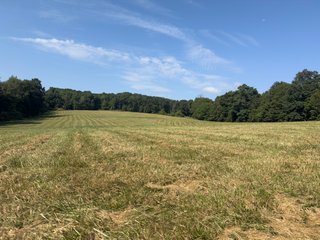 Property photo 32 - IMPORTANT LAND AUCTION - 343+/- ACRES OFFERED IN 6 TRACTS IN PIKE COUNTY, OHIO