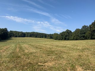 Property photo 33 - IMPORTANT LAND AUCTION - 343+/- ACRES OFFERED IN 6 TRACTS IN PIKE COUNTY, OHIO