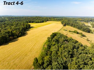 Property photo 6 - IMPORTANT LAND AUCTION - 343+/- ACRES OFFERED IN 6 TRACTS IN PIKE COUNTY, OHIO