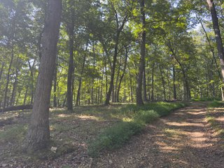 Property photo 36 - IMPORTANT LAND AUCTION - 343+/- ACRES OFFERED IN 6 TRACTS IN PIKE COUNTY, OHIO