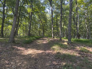 Property photo 38 - IMPORTANT LAND AUCTION - 343+/- ACRES OFFERED IN 6 TRACTS IN PIKE COUNTY, OHIO