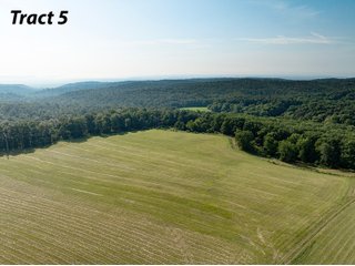 Property photo 8 - IMPORTANT LAND AUCTION - 343+/- ACRES OFFERED IN 6 TRACTS IN PIKE COUNTY, OHIO