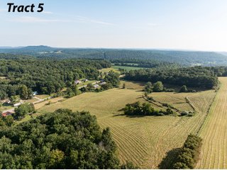 Property photo 9 - IMPORTANT LAND AUCTION - 343+/- ACRES OFFERED IN 6 TRACTS IN PIKE COUNTY, OHIO