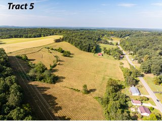 Property photo 10 - IMPORTANT LAND AUCTION - 343+/- ACRES OFFERED IN 6 TRACTS IN PIKE COUNTY, OHIO