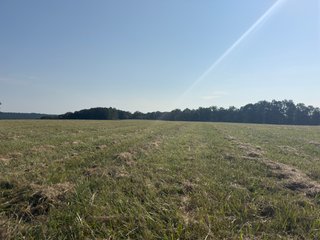 Property photo 41 - IMPORTANT LAND AUCTION - 343+/- ACRES OFFERED IN 6 TRACTS IN PIKE COUNTY, OHIO