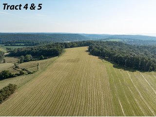Property photo 12 - IMPORTANT LAND AUCTION - 343+/- ACRES OFFERED IN 6 TRACTS IN PIKE COUNTY, OHIO
