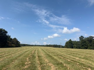 Property photo 42 - IMPORTANT LAND AUCTION - 343+/- ACRES OFFERED IN 6 TRACTS IN PIKE COUNTY, OHIO
