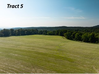 Property photo 13 - IMPORTANT LAND AUCTION - 343+/- ACRES OFFERED IN 6 TRACTS IN PIKE COUNTY, OHIO