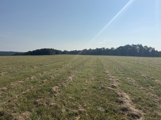 Property photo 43 - IMPORTANT LAND AUCTION - 343+/- ACRES OFFERED IN 6 TRACTS IN PIKE COUNTY, OHIO