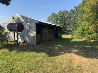 Property photo 47 - IMPORTANT LAND AUCTION - 343+/- ACRES OFFERED IN 6 TRACTS IN PIKE COUNTY, OHIO