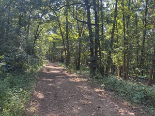 Property photo 50 - IMPORTANT LAND AUCTION - 343+/- ACRES OFFERED IN 6 TRACTS IN PIKE COUNTY, OHIO