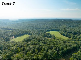 Property photo 14 - IMPORTANT LAND AUCTION - 343+/- ACRES OFFERED IN 6 TRACTS IN PIKE COUNTY, OHIO