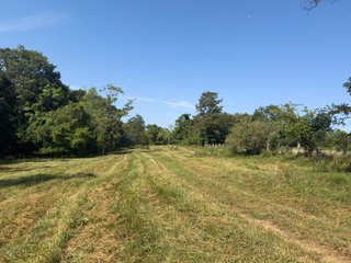Property photo 52 - IMPORTANT LAND AUCTION - 343+/- ACRES OFFERED IN 6 TRACTS IN PIKE COUNTY, OHIO