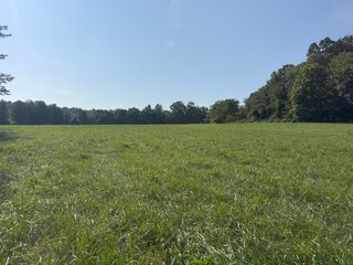 Property photo 53 - IMPORTANT LAND AUCTION - 343+/- ACRES OFFERED IN 6 TRACTS IN PIKE COUNTY, OHIO