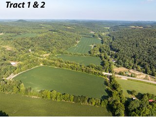Property photo 1 - IMPORTANT LAND AUCTION - 343+/- ACRES OFFERED IN 6 TRACTS IN PIKE COUNTY, OHIO