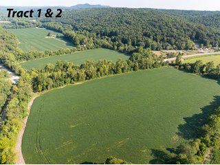 Property photo 3 - IMPORTANT LAND AUCTION - 343+/- ACRES OFFERED IN 6 TRACTS IN PIKE COUNTY, OHIO