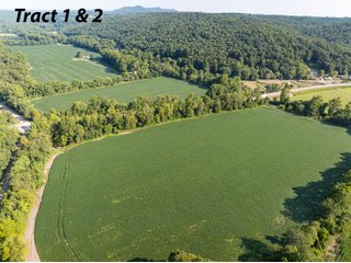 Property photo 4 - IMPORTANT LAND AUCTION - 343+/- ACRES OFFERED IN 6 TRACTS IN PIKE COUNTY, OHIO