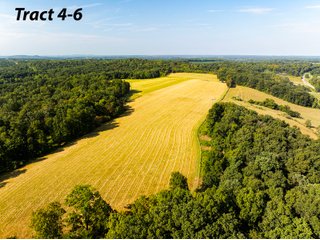 Property photo 5 - IMPORTANT LAND AUCTION - 343+/- ACRES OFFERED IN 6 TRACTS IN PIKE COUNTY, OHIO