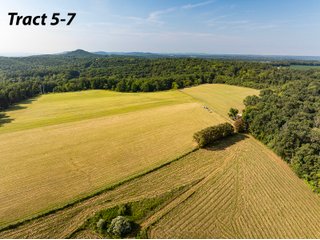 Property photo 2 - IMPORTANT LAND AUCTION - 343+/- ACRES OFFERED IN 6 TRACTS IN PIKE COUNTY, OHIO