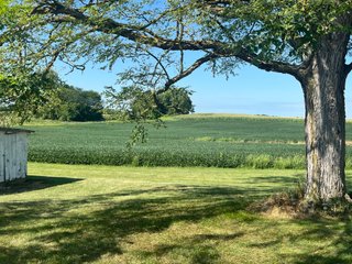 Property photo 16 - TIMED ONLINE ONLY REAL ESTATE AUCTION - 10.66+/- ACRES OFFERED IN 2 TRACTS IN DEKALB COUNTY, INDIANA