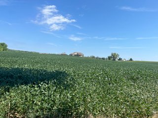 Property photo 2 - TIMED ONLINE ONLY REAL ESTATE AUCTION - 10.66+/- ACRES OFFERED IN 2 TRACTS IN DEKALB COUNTY, INDIANA