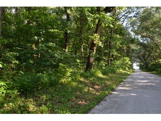Property photo 25 - REAL ESTATE AUCTION - 240+/-ACRES OFFERED IN 6 TRACTS IN JASPER COUNTY, INDIANA