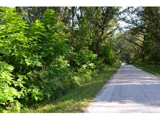 Property photo 24 - REAL ESTATE AUCTION - 240+/-ACRES OFFERED IN 6 TRACTS IN JASPER COUNTY, INDIANA