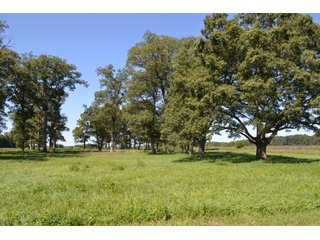 Property photo 35 - REAL ESTATE AUCTION - 240+/-ACRES OFFERED IN 6 TRACTS IN JASPER COUNTY, INDIANA