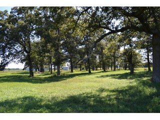 Property photo 39 - REAL ESTATE AUCTION - 240+/-ACRES OFFERED IN 6 TRACTS IN JASPER COUNTY, INDIANA