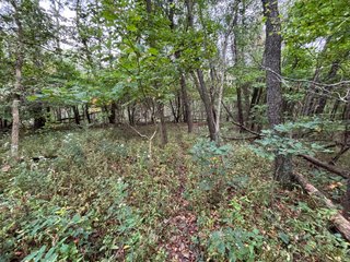 Property photo 47 - REAL ESTATE AUCTION - 240+/-ACRES OFFERED IN 6 TRACTS IN JASPER COUNTY, INDIANA