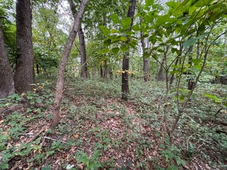 Property photo 50 - REAL ESTATE AUCTION - 240+/-ACRES OFFERED IN 6 TRACTS IN JASPER COUNTY, INDIANA