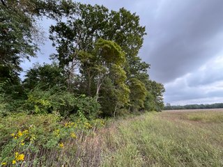 Property photo 56 - REAL ESTATE AUCTION - 240+/-ACRES OFFERED IN 6 TRACTS IN JASPER COUNTY, INDIANA
