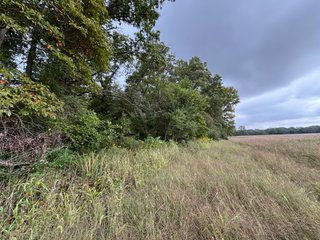 Property photo 57 - REAL ESTATE AUCTION - 240+/-ACRES OFFERED IN 6 TRACTS IN JASPER COUNTY, INDIANA