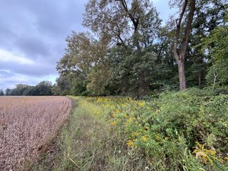Property photo 58 - REAL ESTATE AUCTION - 240+/-ACRES OFFERED IN 6 TRACTS IN JASPER COUNTY, INDIANA