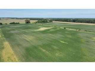Property photo 21 - REAL ESTATE AUCTION - 240+/-ACRES OFFERED IN 6 TRACTS IN JASPER COUNTY, INDIANA