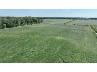 Property photo 19 - REAL ESTATE AUCTION - 240+/-ACRES OFFERED IN 6 TRACTS IN JASPER COUNTY, INDIANA