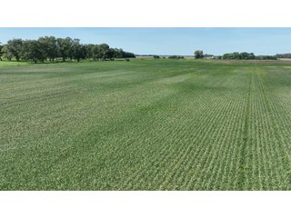 Property photo 17 - REAL ESTATE AUCTION - 240+/-ACRES OFFERED IN 6 TRACTS IN JASPER COUNTY, INDIANA