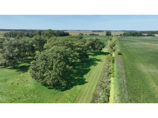 Property photo 15 - REAL ESTATE AUCTION - 240+/-ACRES OFFERED IN 6 TRACTS IN JASPER COUNTY, INDIANA