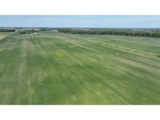 Property photo 13 - REAL ESTATE AUCTION - 240+/-ACRES OFFERED IN 6 TRACTS IN JASPER COUNTY, INDIANA