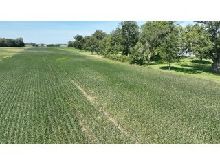 Property photo 12 - REAL ESTATE AUCTION - 240+/-ACRES OFFERED IN 6 TRACTS IN JASPER COUNTY, INDIANA