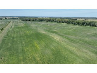 Property photo 9 - REAL ESTATE AUCTION - 240+/-ACRES OFFERED IN 6 TRACTS IN JASPER COUNTY, INDIANA