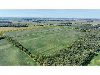 Property photo 8 - REAL ESTATE AUCTION - 240+/-ACRES OFFERED IN 6 TRACTS IN JASPER COUNTY, INDIANA