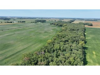 Property photo 7 - REAL ESTATE AUCTION - 240+/-ACRES OFFERED IN 6 TRACTS IN JASPER COUNTY, INDIANA