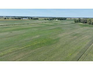 Property photo 6 - REAL ESTATE AUCTION - 240+/-ACRES OFFERED IN 6 TRACTS IN JASPER COUNTY, INDIANA
