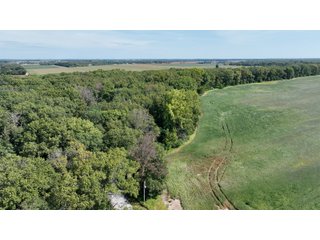 Property photo 5 - REAL ESTATE AUCTION - 240+/-ACRES OFFERED IN 6 TRACTS IN JASPER COUNTY, INDIANA